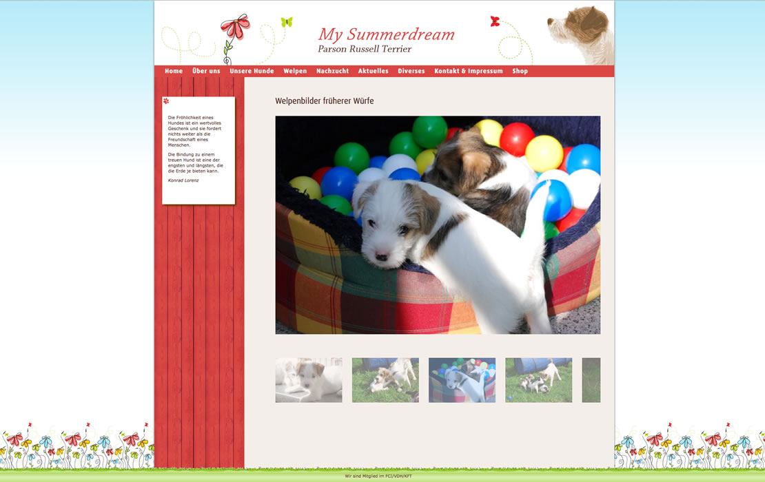 Parson Russell Terrier My Summerdream in Menden